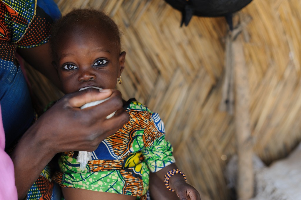 Les ONG tirent la sonnette d'alarme au Nigéria et au Cameroun  Aujourd