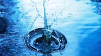 La journée mondiale de l’eau est une célébration annuelle fixée chaque 22 mars. Instaurée par l’Organisation des Nations Unies (ONU) en 1992, cette journée a pour objectif de sensibiliser la […]