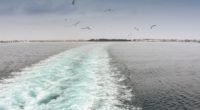 Un nouveau service de ferry sur la mer Égée, entre l’île grecque de Lesbos et la Turquie, est désormais disponible et permettra aux touristes et aux entreprises des deux pays […]