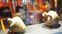 Le Musée des civilisations lyciennes, qui a ouvert l’année dernière dans la région de Demre (province d’Antalya), expose aujourd’hui pas moins de 1009 artefacts découverts lors de fouilles dans plusieurs […]