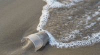 Jetés à la mer, les déchets plastiques endommagent l’écosystème maritime mondial. Un phénomène auquel n’échappe pas la Turquie. Au vu de la prolifération des microplastiques dans les mers, les experts […]