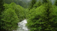 Fin 2011, L’Agence Française de Développement (AFD) accordait à la Turquie un prêt souverain de 150 millions d’euros, afin de renforcer son programme de préservation des forêts, en particulier de […]