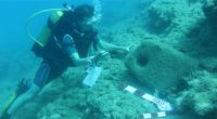 Une mission archéologique sous-marine exceptionnelle conduite dans le sud de la province de Mersin, en Turquie, a permis de découvrir dix-huit épaves de bateaux datant de l’époque classique, romaine et […]