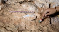 Une industrie lithique a été découverte dans la grotte de Karain, située dans le village de Yağca de la province d’Antalya, rapporte l’Agence Anadolu.