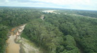 À la mi-août, on pouvait lire à la Une de nombreux journaux : « La déforestation amazonienne s’accélère dangereusement au Brésil ». En effet, en juillet, elle aurait été presque quatre fois supérieure […]